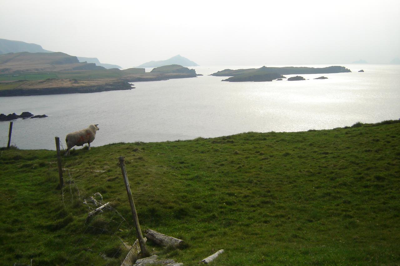 Carraig Liath House Bed and Breakfast Clynacartan Buitenkant foto